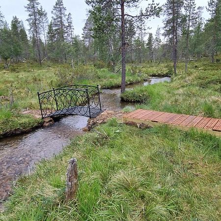 Kuukkeli Log Houses Aurora Cabin - Jaspis ซาริเซลกา ภายนอก รูปภาพ