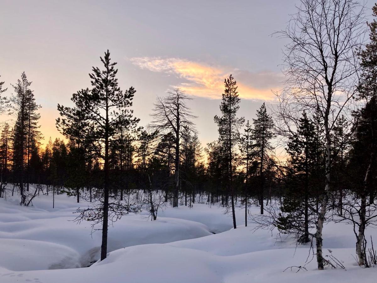 Kuukkeli Log Houses Aurora Cabin - Jaspis ซาริเซลกา ภายนอก รูปภาพ