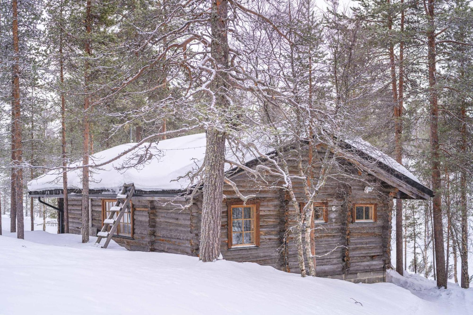 Kuukkeli Log Houses Aurora Cabin - Jaspis ซาริเซลกา ภายนอก รูปภาพ